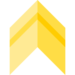 Chevron icon