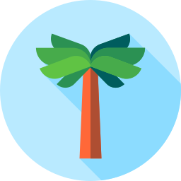 palme icon