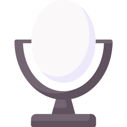 Mirror icon