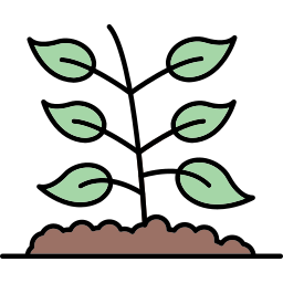 Sprout icon