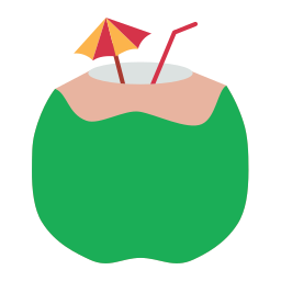 Coconut drink icon