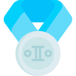 Silver medal icon