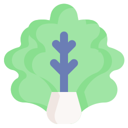 Lettuce icon