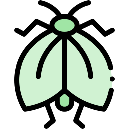 Moth icon