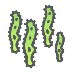 Bacteria icon