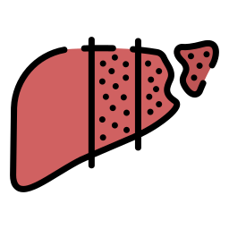 hepatitis b icoon