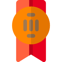 bronzemedaille icon