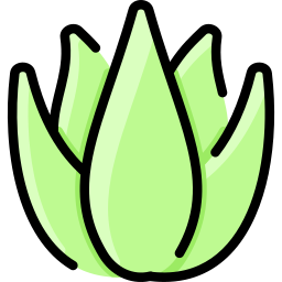 Aloe vera icon