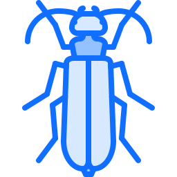 Beetle icon