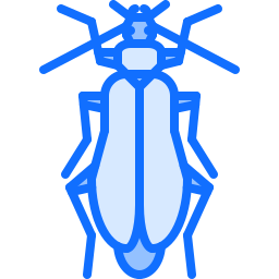 Beetle icon