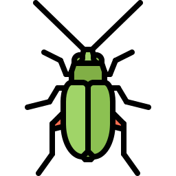 Beetle icon