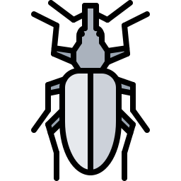 Beetle icon