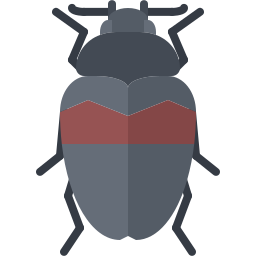 Beetle icon