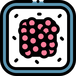 Sushi icon