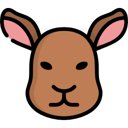 Kangaroo icon