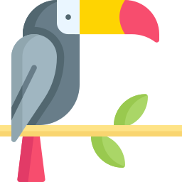 Toucan icon