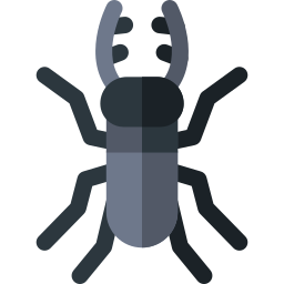 Stag beetle icon