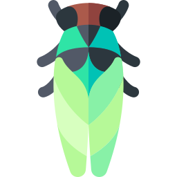 Cicada icon