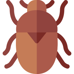 Beetle icon