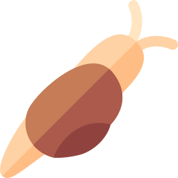 Snail icon