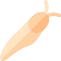 Slug icon