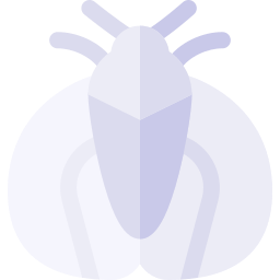 Insect icon