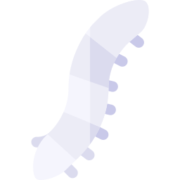 Silkworm icon