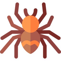 Tarantula icon