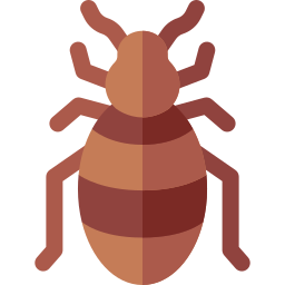 Bedbug icon