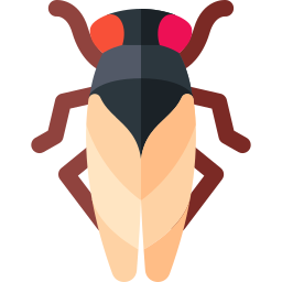 Cicada icon