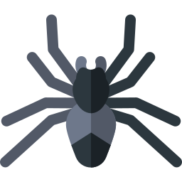 Spider icon