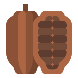 cacao Icône