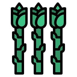 Asparagus icon