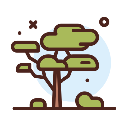 Tree icon