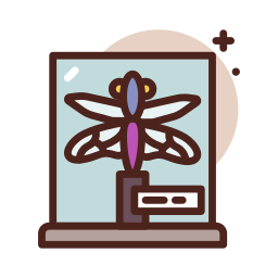 Insect icon