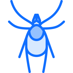 Mite icon