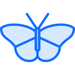 motyl ikona