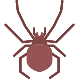 Spider icon