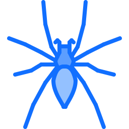 spinne icon