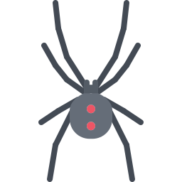 Spider icon