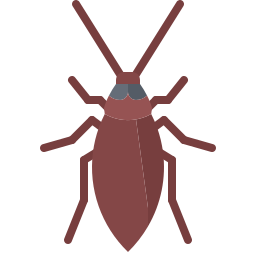 Cockroach icon