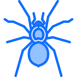 spinne icon