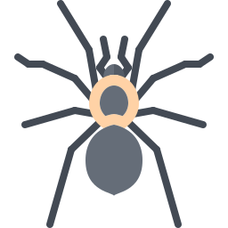 Spider icon