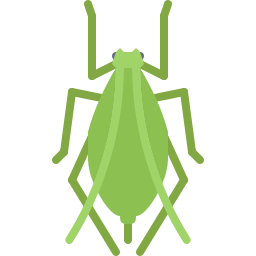 Bug icon