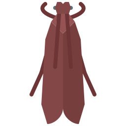 Bug icon