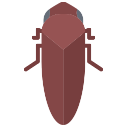 Bug icon