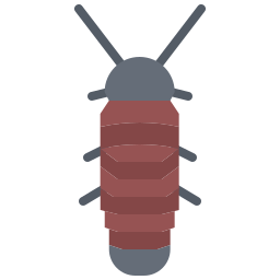 Cockroach icon