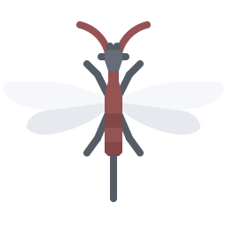 Bug icon