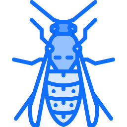 Wasp icon