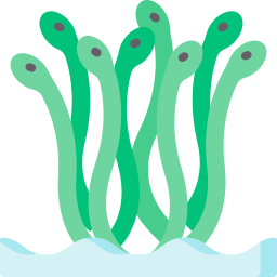 hydra ikona